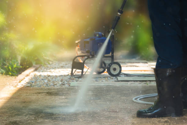 Best Driveway Pressure Washing  in Arnold, MD